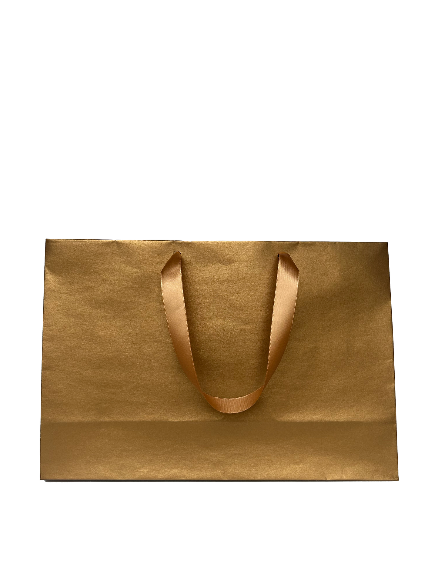 Bolsa Shiny Mediana Horizontal