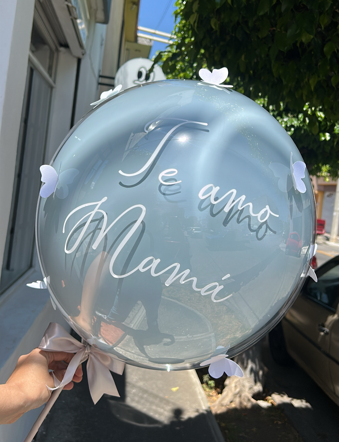 Burbuja Englobada + Mariposas