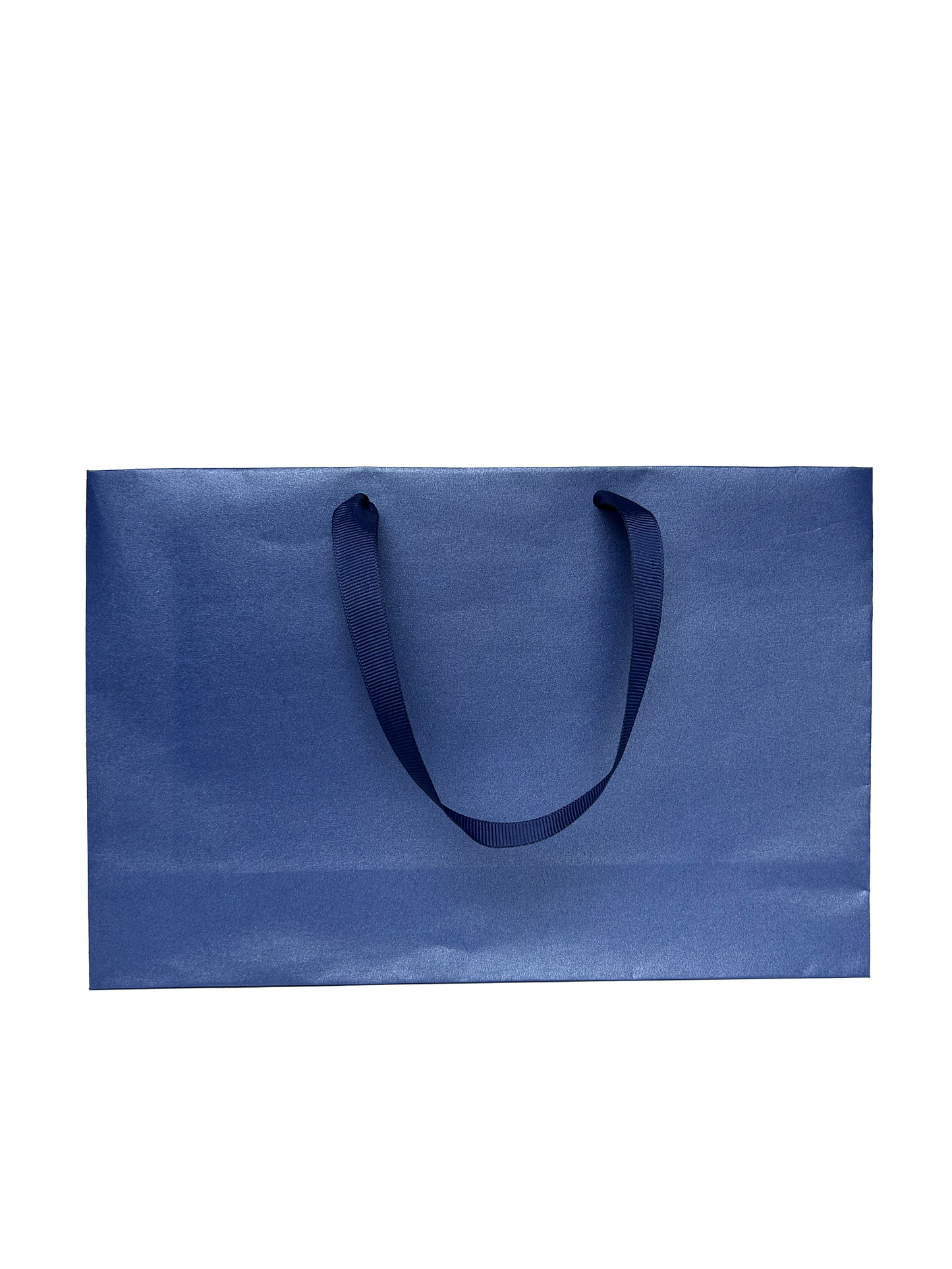 Bolsa Shiny Mediana Horizontal