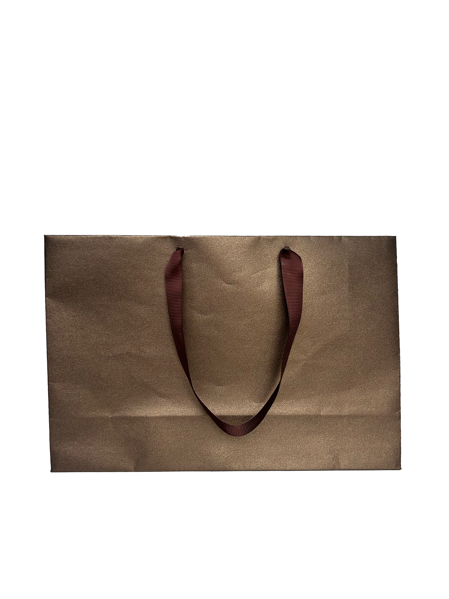 Bolsa Shiny Mediana Horizontal