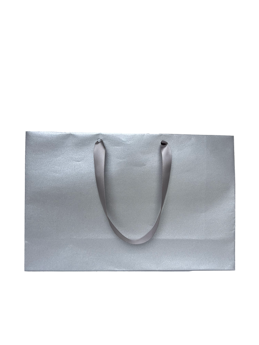 Bolsa Shiny Mediana Horizontal