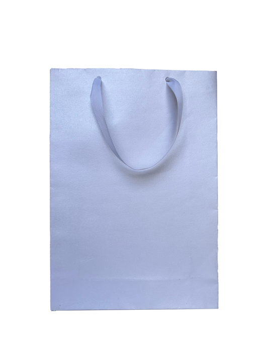 Bolsa Shiny Mediana Vertical